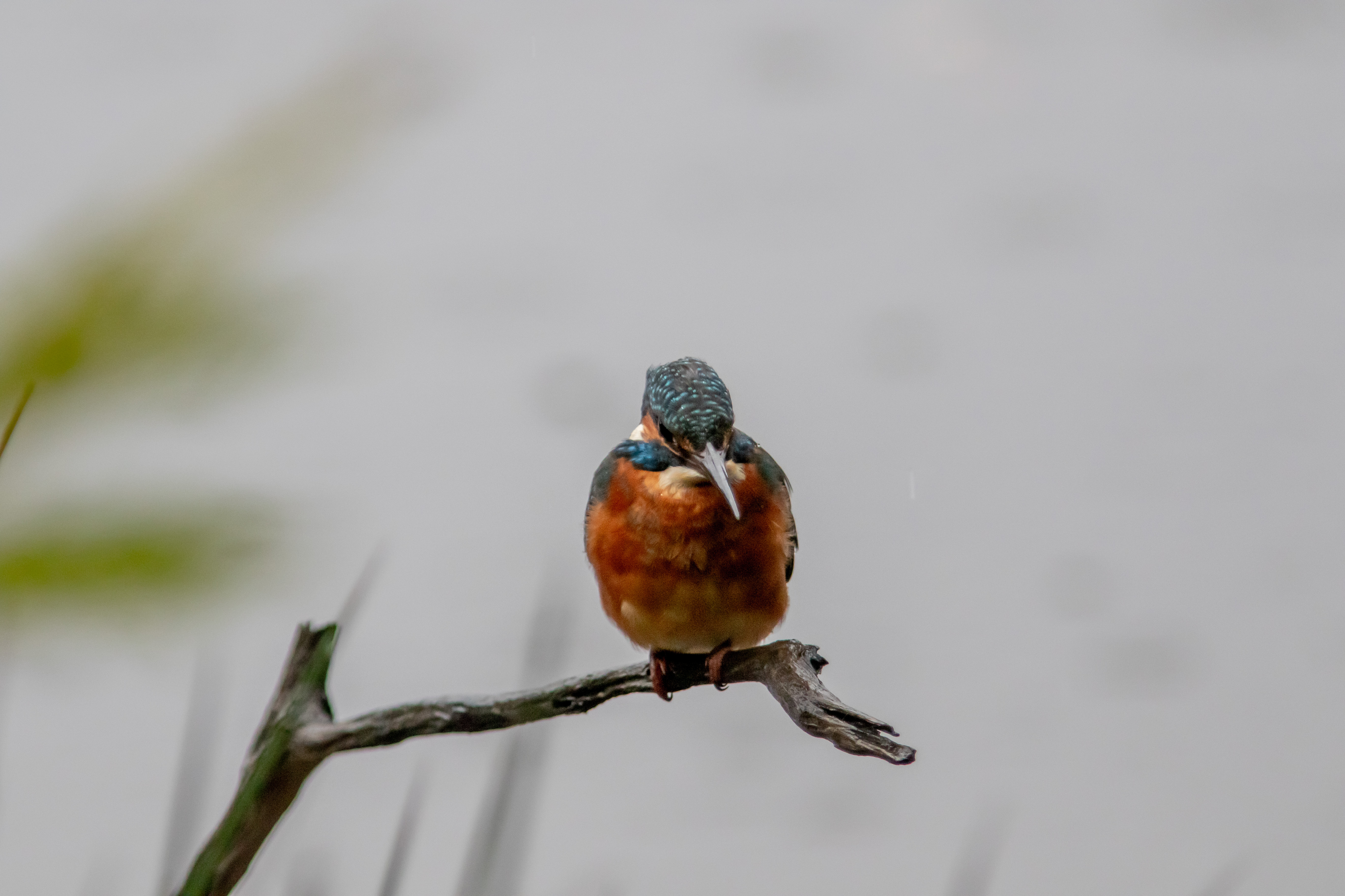 Miniature
